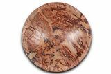 Polished Saharan Desert Jasper Dish - Morocco #349409-1
